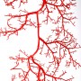 Deko-Kette-Koralle-150-cm-rot-2-zu-mieten